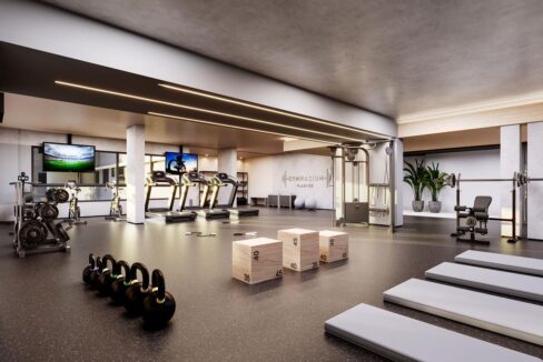 22 Gymnasium Plaenge